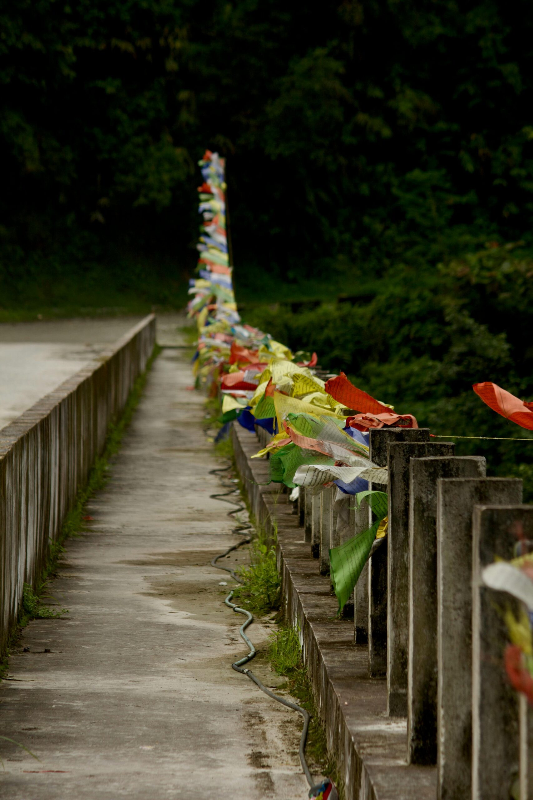 7 Days North Sikkim