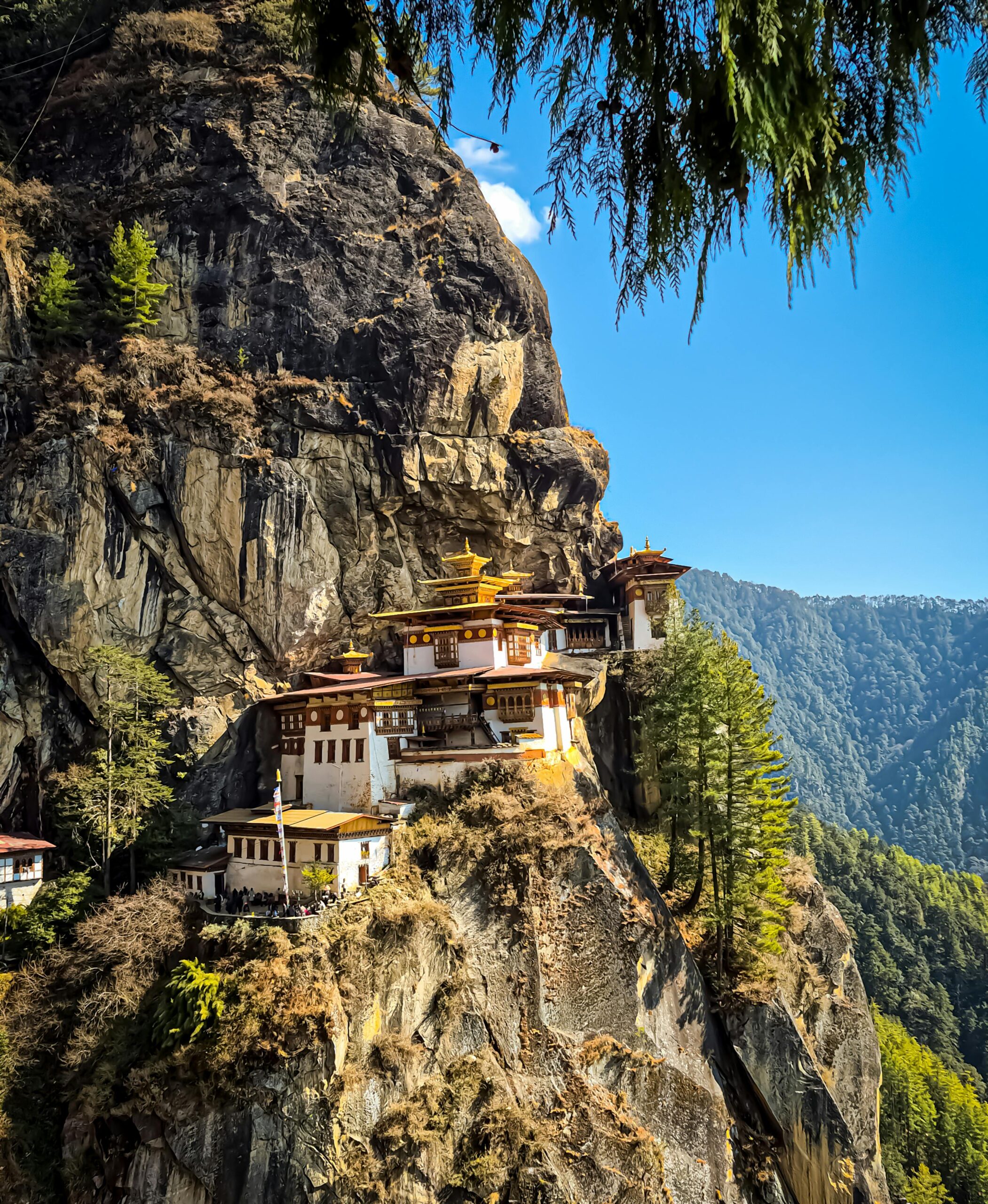 Tiger Hill Tour