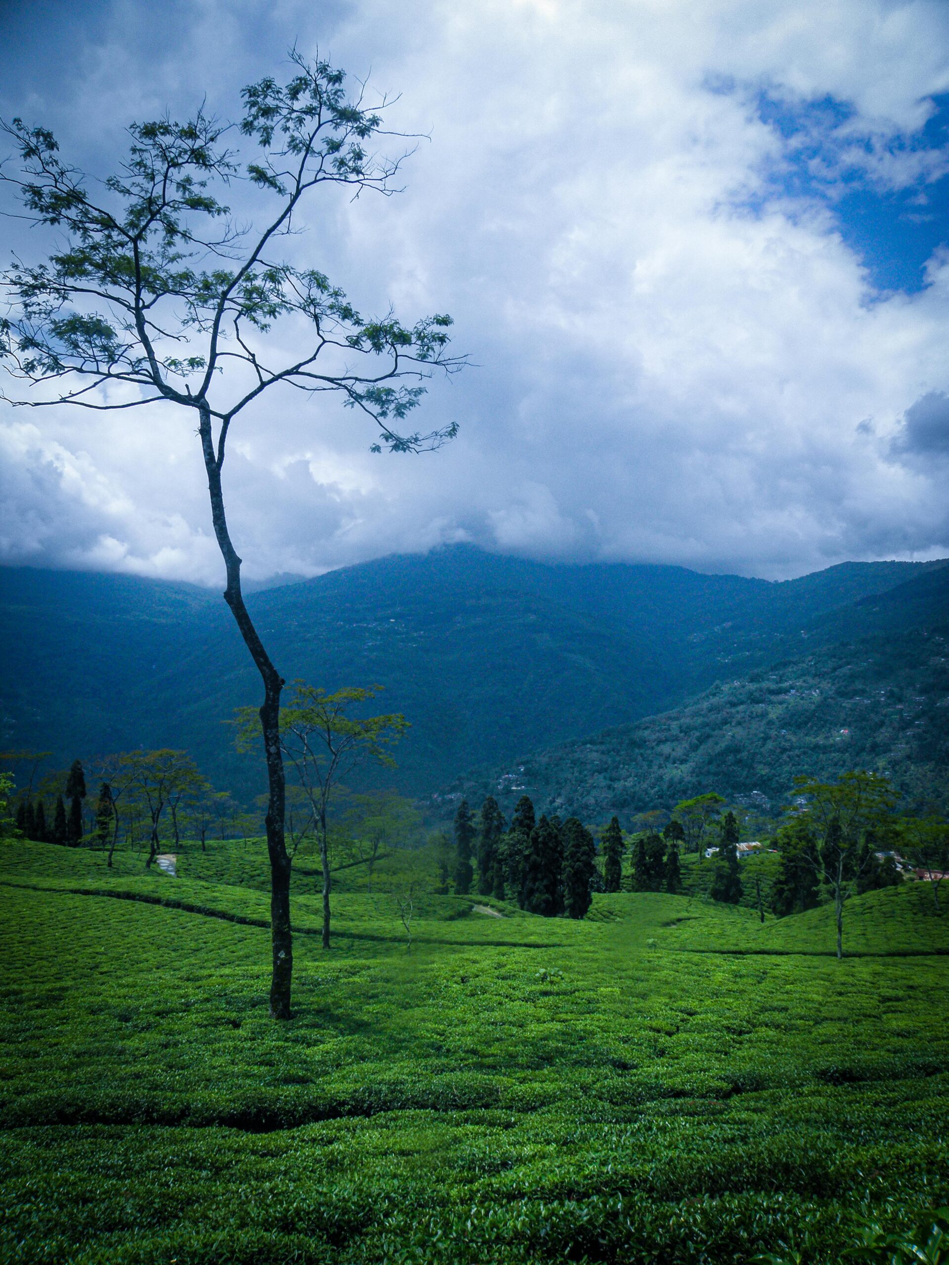 8 Nights Sikkim Tour